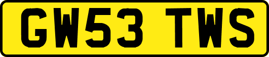 GW53TWS