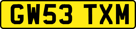GW53TXM