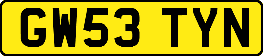 GW53TYN