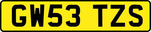GW53TZS
