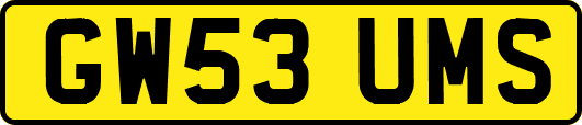 GW53UMS