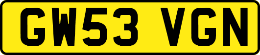 GW53VGN