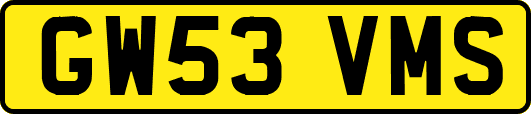 GW53VMS
