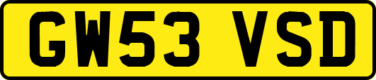 GW53VSD