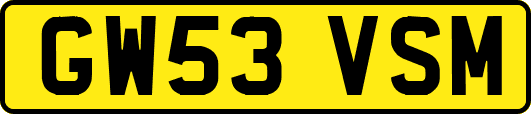 GW53VSM