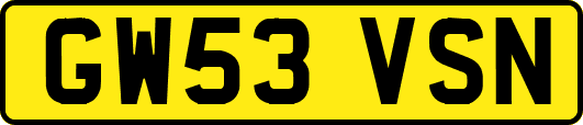 GW53VSN