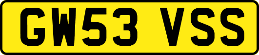 GW53VSS