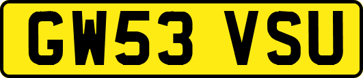 GW53VSU