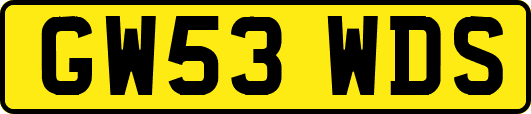 GW53WDS