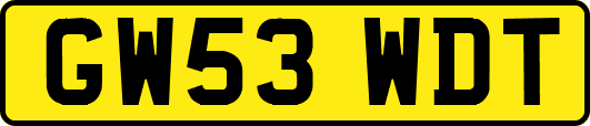 GW53WDT