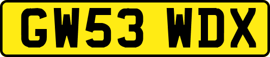 GW53WDX