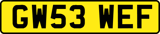 GW53WEF