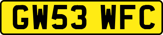 GW53WFC