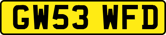 GW53WFD