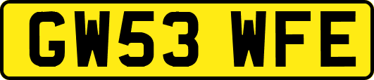 GW53WFE