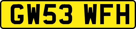 GW53WFH