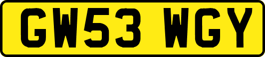 GW53WGY