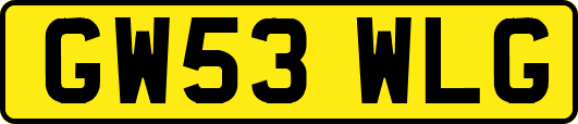 GW53WLG