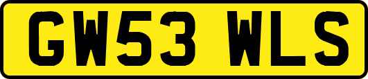 GW53WLS