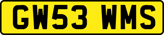 GW53WMS
