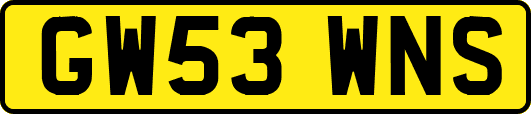 GW53WNS