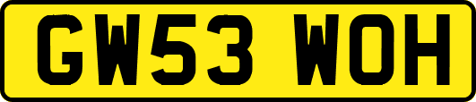 GW53WOH