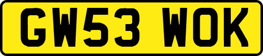 GW53WOK