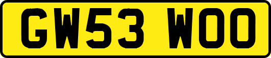 GW53WOO
