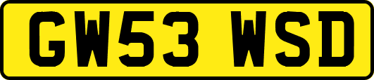 GW53WSD