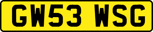 GW53WSG