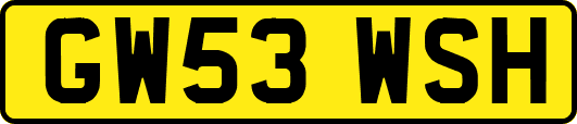 GW53WSH
