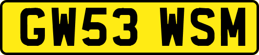 GW53WSM