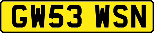 GW53WSN