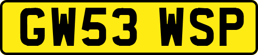 GW53WSP