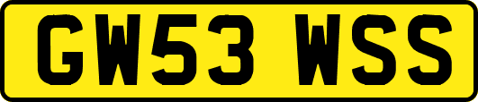 GW53WSS