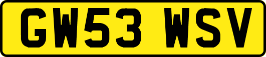 GW53WSV
