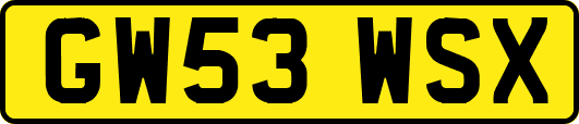 GW53WSX