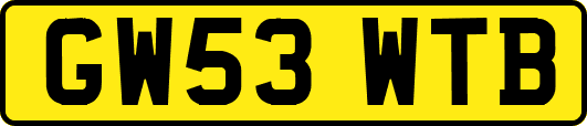 GW53WTB