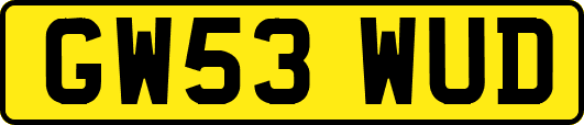 GW53WUD