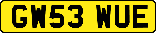 GW53WUE