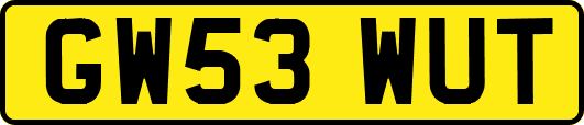 GW53WUT
