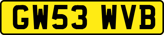 GW53WVB