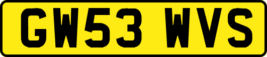 GW53WVS