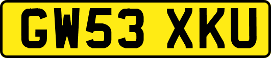 GW53XKU