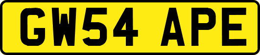 GW54APE