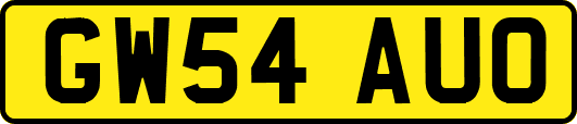 GW54AUO