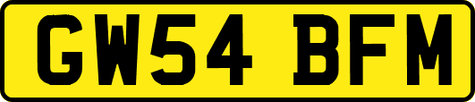 GW54BFM