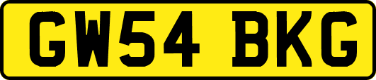 GW54BKG