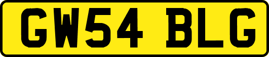 GW54BLG