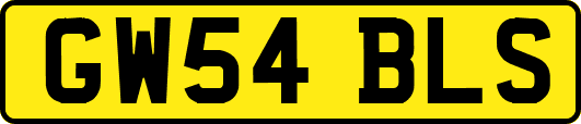 GW54BLS